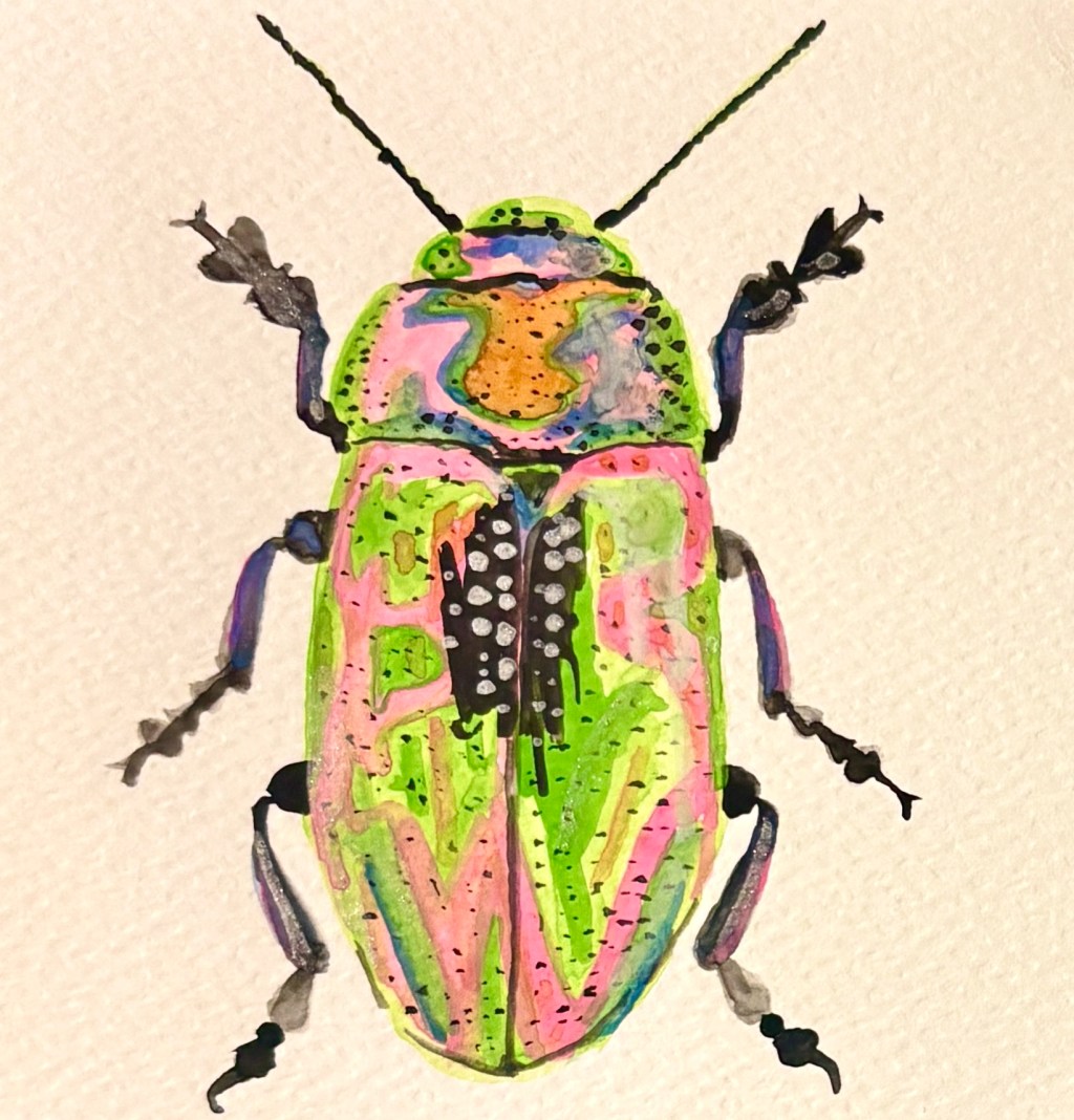 Watercolor Beetles