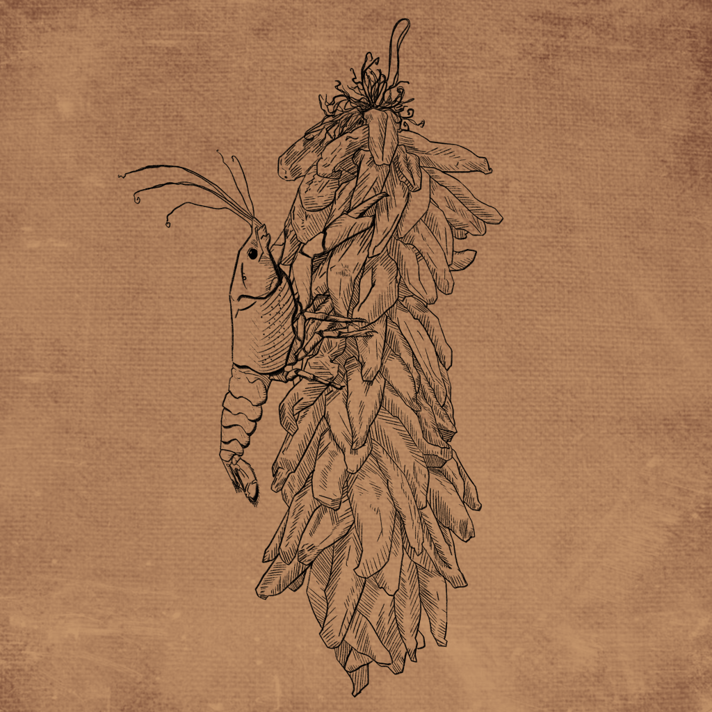 Lobster Chile Ristra